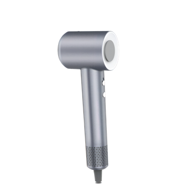 Hot Air Styling High End Hair Dryer